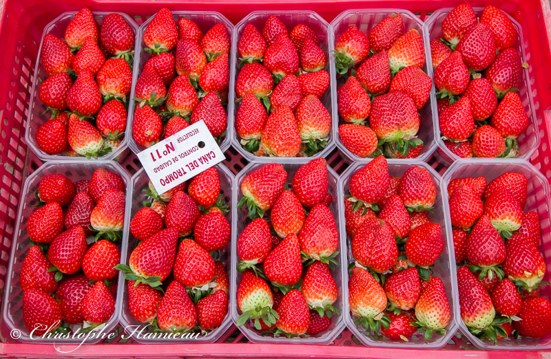 Les fraises destinées à la consommation de bouche
