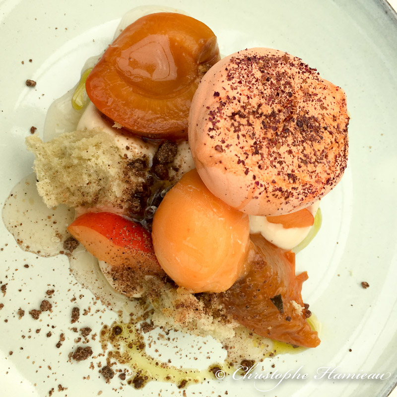 Les Orangeries: crémeux d'épautre au foin de La Fayauderie, abricots cuits, crus et en sorbet, biscuit au romarin
