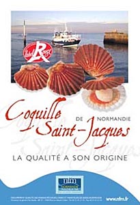 Coquille St-Jacques de Normandie
