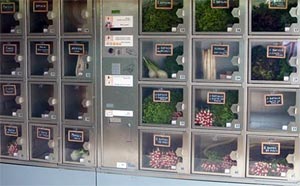 Distributeur automatique de légumes