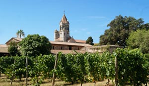 Le vignoble de l'Abbaye de Lerins