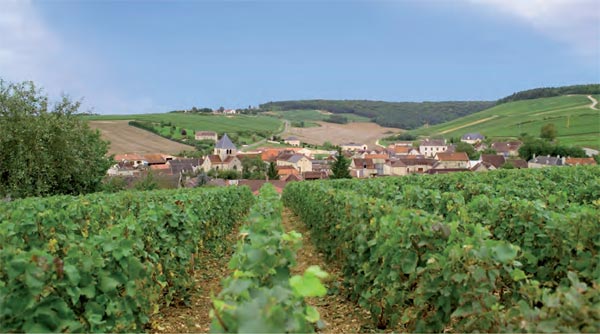 Le Domaine Gremillet et le village Les Riceys