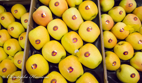 Pommes Golden AOP Limousin Perlim